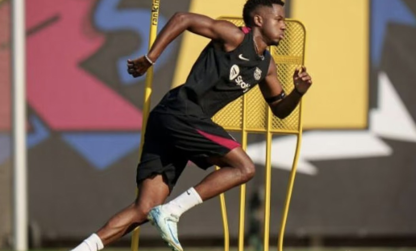 生态中的巨 生态中的巨