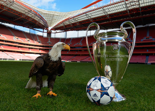 难以置信 难以置信